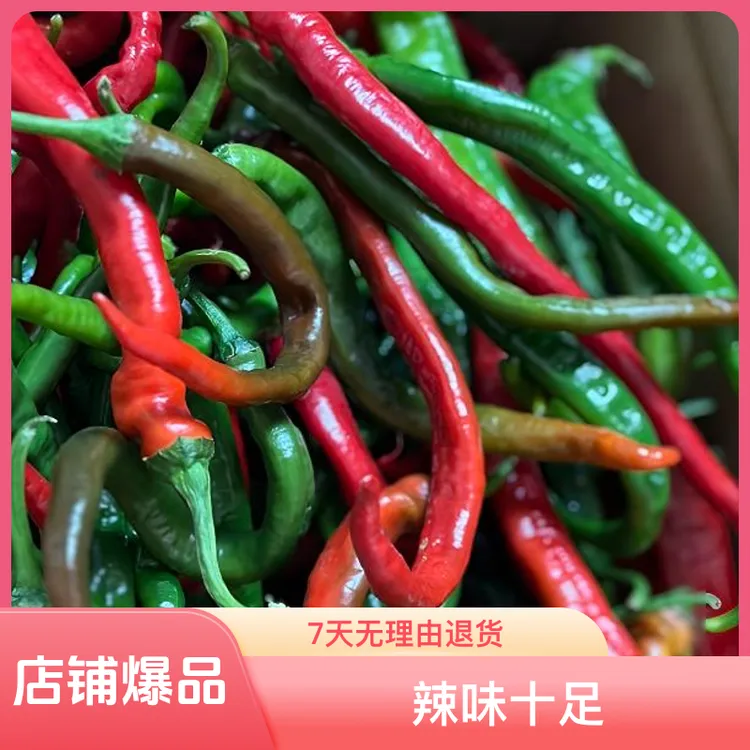 湖南新鲜薄皮青红辣椒现摘现发辣味十足【青红混装】