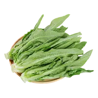 优选昆明油麦菜约300g