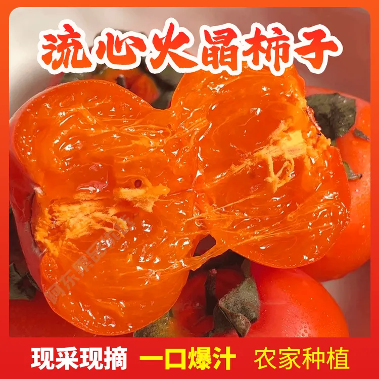 【头茬火晶柿子】正宗火晶软柿子当季新鲜水果果园采摘爆浆甜柿