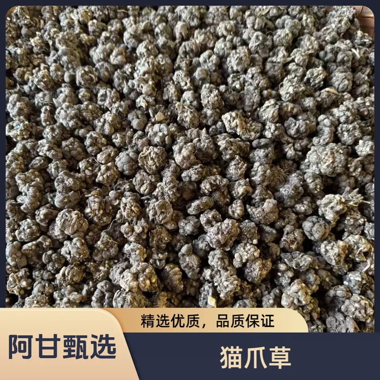 【阿甘甄选】现收土特产 猫爪草 净含量：250g/500g 可搭配枸杞