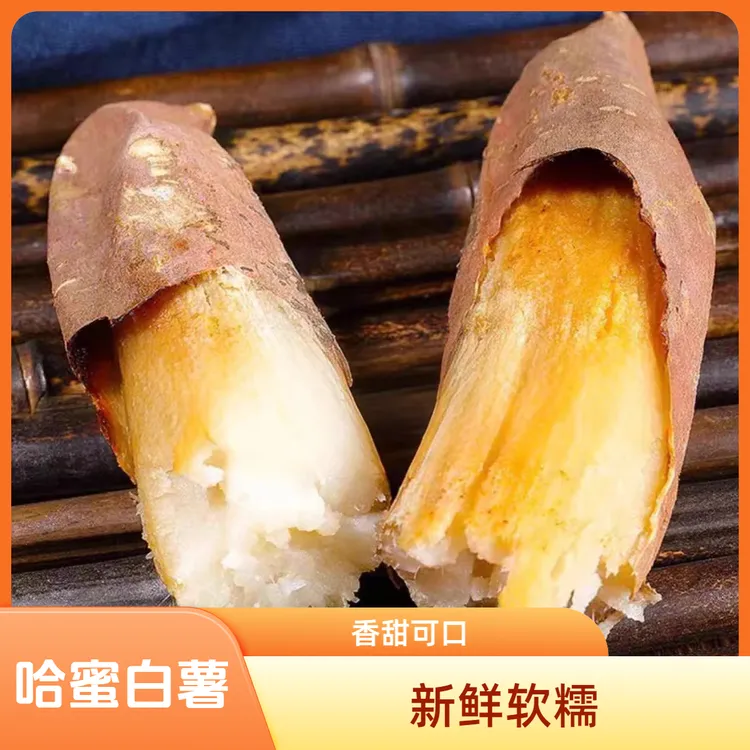 河南香甜软糯白心哈密蜜薯新鲜地瓜冰糖薯农家自种红薯番薯