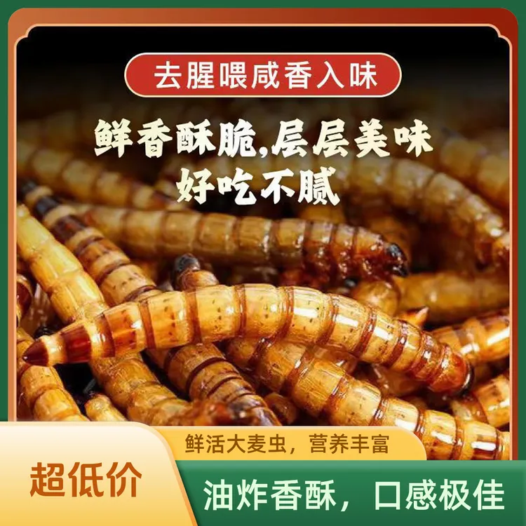 【凡凡专属】香酥大麦虫蛋白虫炸昆虫网红同款小零食下酒绝配