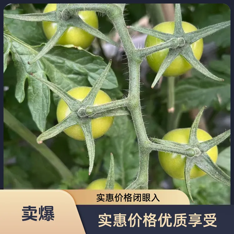 天晶壹号授粉套餐20桶水超值