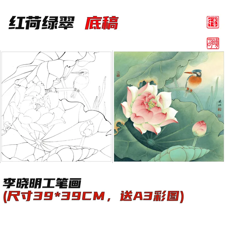 公益直播热播《红荷绿翠图》底稿 尺寸39*39cm送A3彩图 李晓明原创