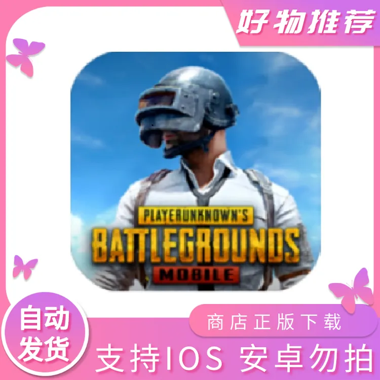 pubg 国际版 刺激战场 手机平板游戏安装服务