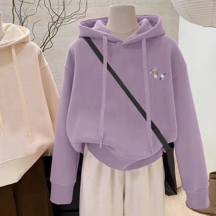 设计感小众秋冬新款2025加绒加厚套头连帽卫衣女短款宽松韩版外套