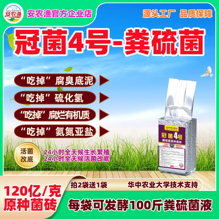 冠菌4号粪硫菌原种菌砖活菌改底分解硫化氢分解有机物降氨亚自培