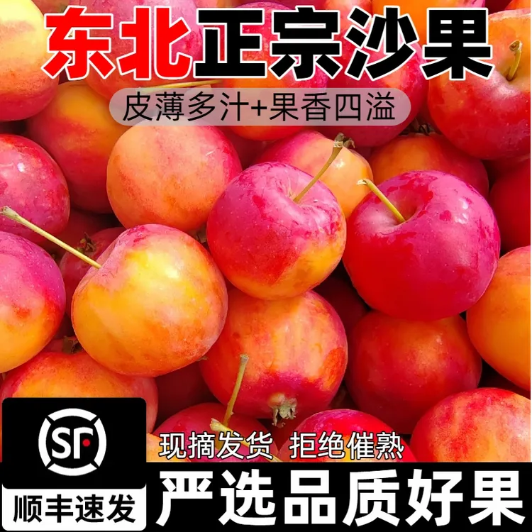 新鲜东北沙果老式黄太平沙果海棠迷你小苹果口感酸脆儿时味道包邮