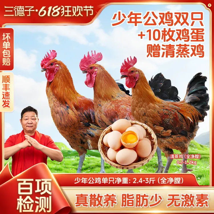 三德子【少年公鸡2只+10枚鸡蛋】到手8件!正宗散养土鸡走地鸡童子鸡商品图