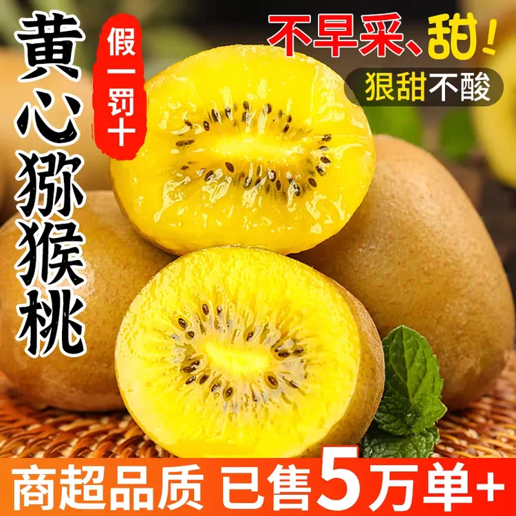 四川黄心猕猴桃金果新西兰奇异果同款新鲜水果现摘香甜中秋送礼