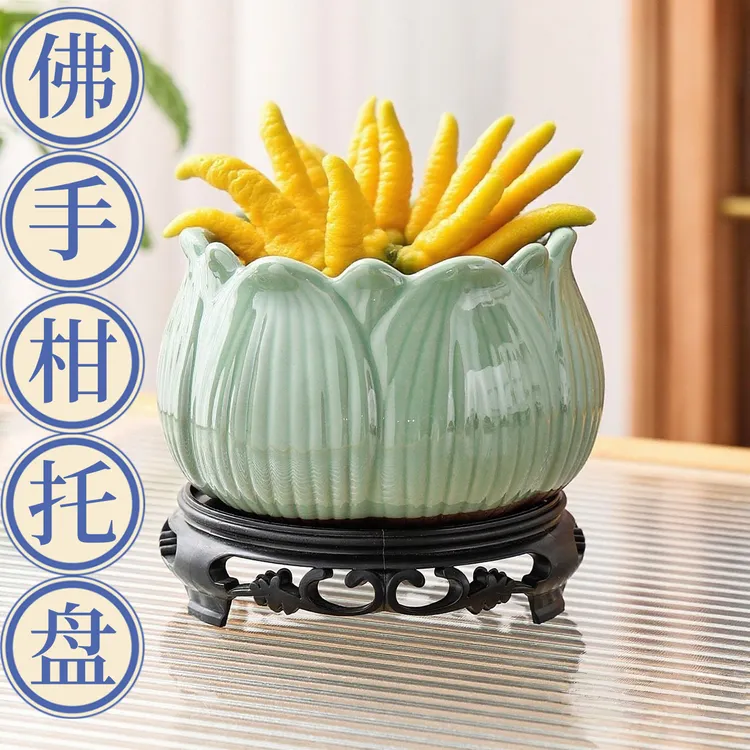 佛手柑专用陶瓷托盘高颜值式复古无孔水培花盆陶瓷水培苔藓花盆