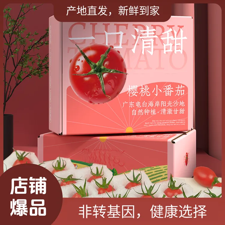 现摘广东电白冰糖千禧果红色小番茄酸甜多汁圣女果新鲜水果小柿子