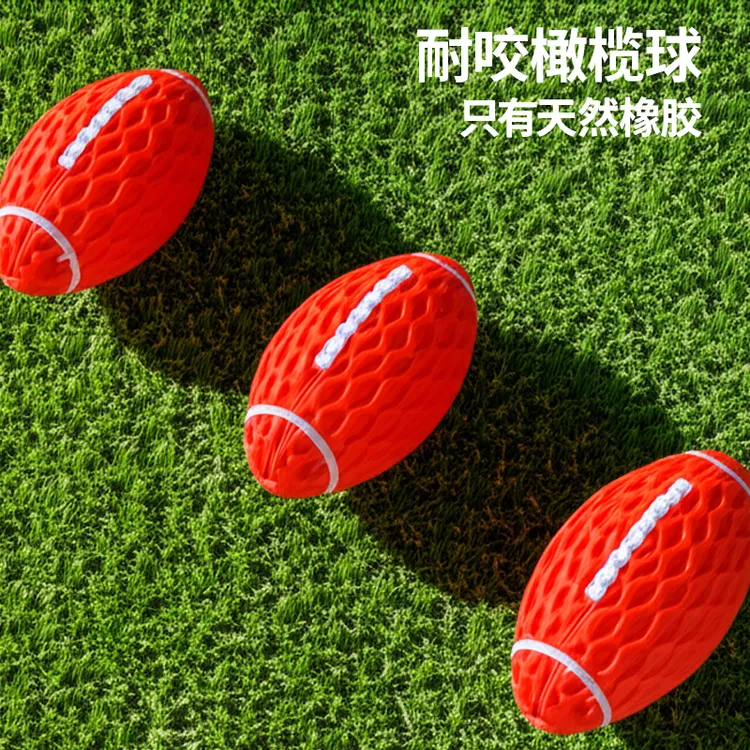 梅花脚足纹橄榄球狗狗耐咬发声玩具耐咬解闷小型犬大型犬逗狗神器