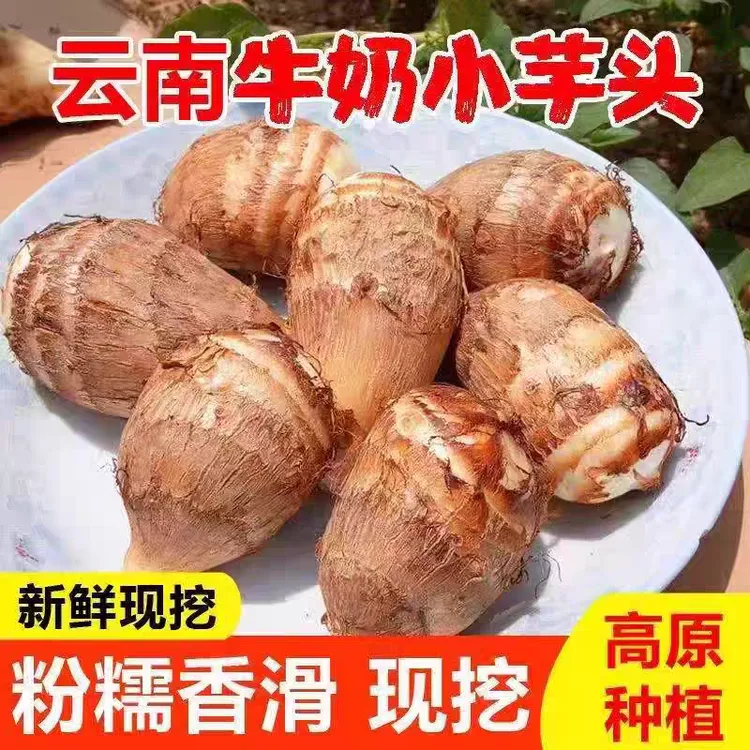 云南高原新鲜现挖牛奶小芋头软糯清甜农家自种当季美味芋头商品图