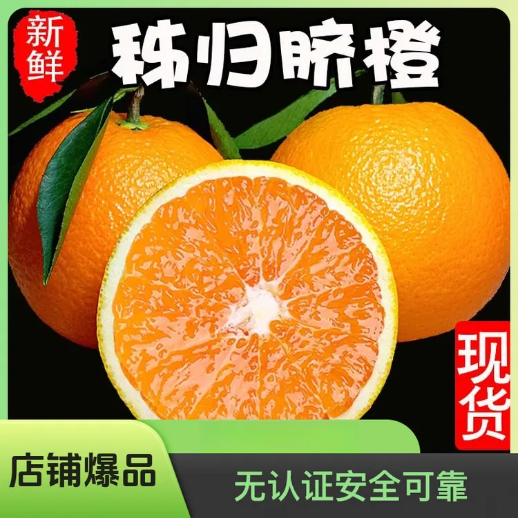 冬天新鲜秭归香甜10斤当季湖北秭归九月红果冻橙子现摘脐橙纽荷尔