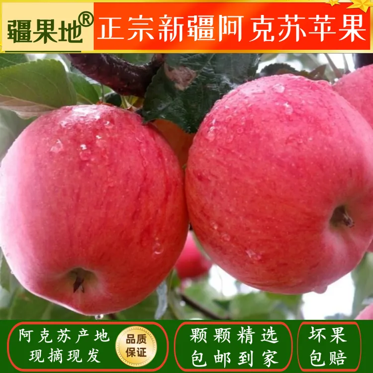 正宗新疆阿克苏冰糖心苹果脆甜多汁产地直发新鲜应季水果包邮