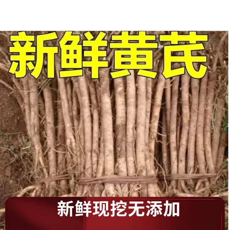 黄芪新鲜黄芪产地直发可泡酒煲汤滋补品