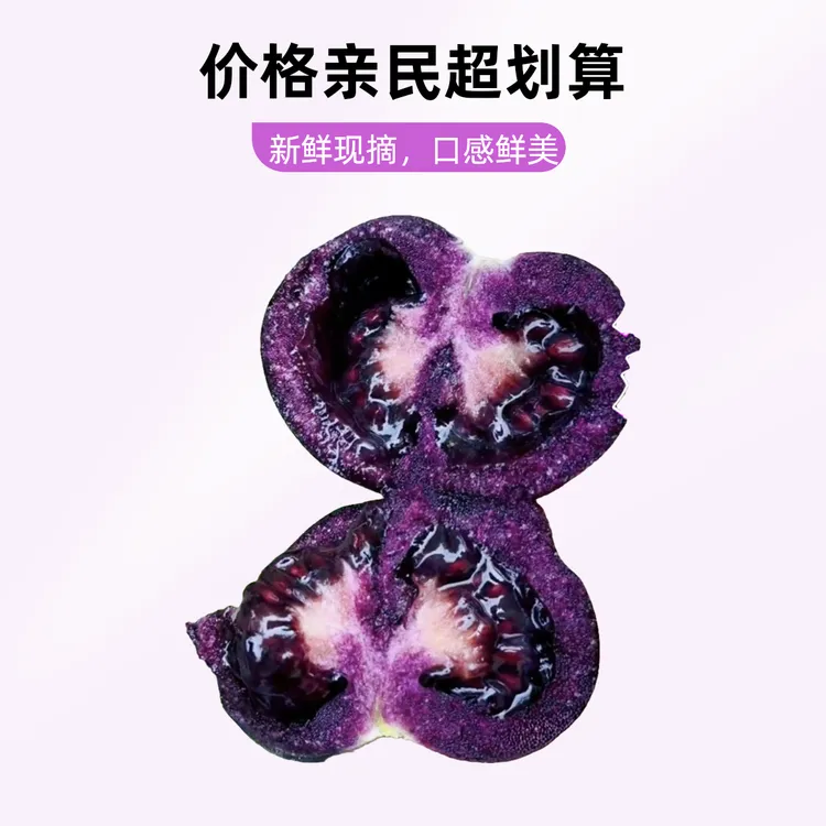 【刘畊宏健康来了】黑宝石黑色小番茄高花青素低热量代餐加餐随便吃