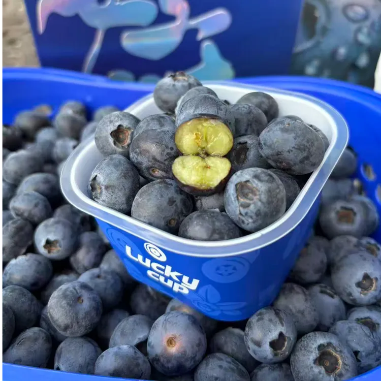 云南花香蓝莓luckycup礼盒装 6杯-12杯规格任你选 高端精致礼品装