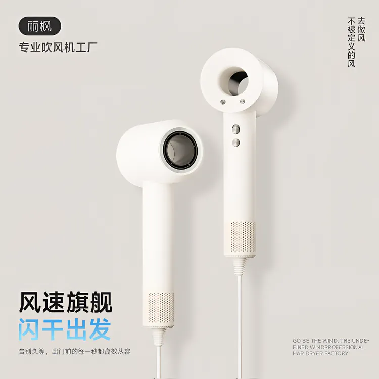 40 亿等离子➕丽枫LVAVNDE高速中空吹风机冷热智能速干护发