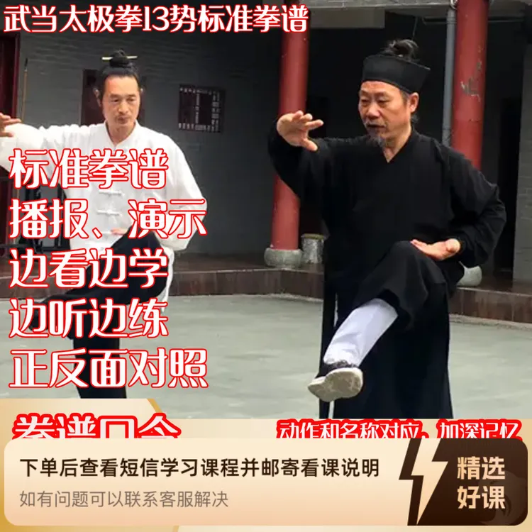 武当太极13势完整拳谱、口令带练，正反对照（留意短信解锁课程）