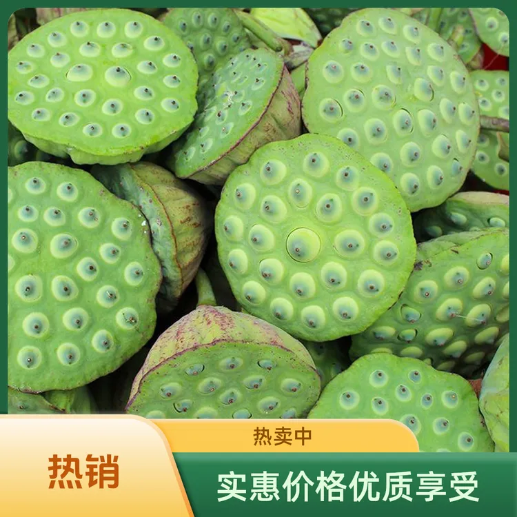 【7-8成熟青籽莲蓬】莲芯苦煮粥煲汤去芯不苦当季水果时令蔬菜生鲜
