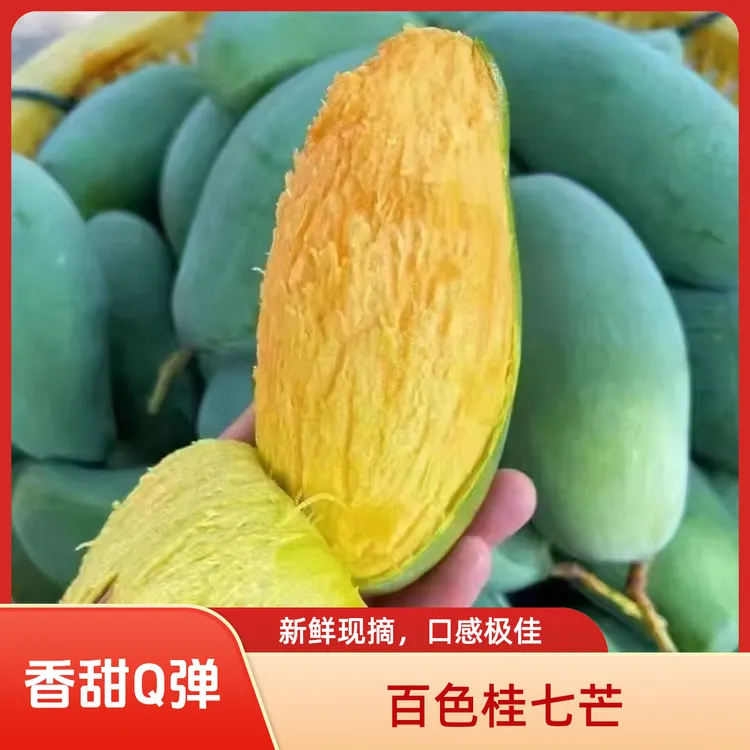 广西百色正宗桂七芒高山老树桂七芒软糯香甜新鲜水果