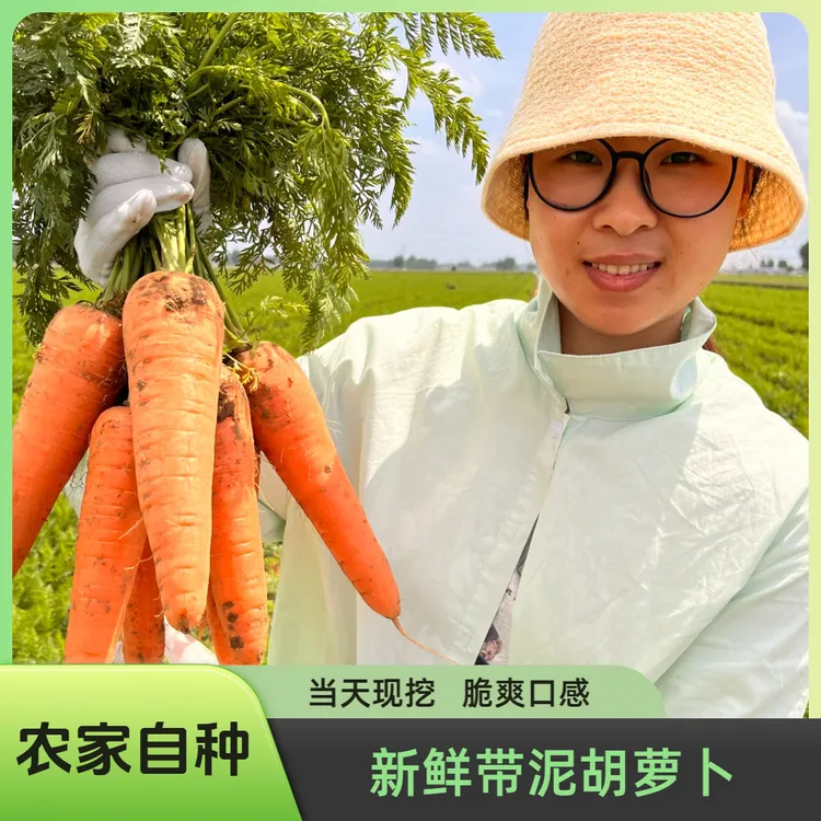 2025年新鲜老品种现挖沙地胡萝卜香脆甜营养蔬菜农家自种5/9斤装