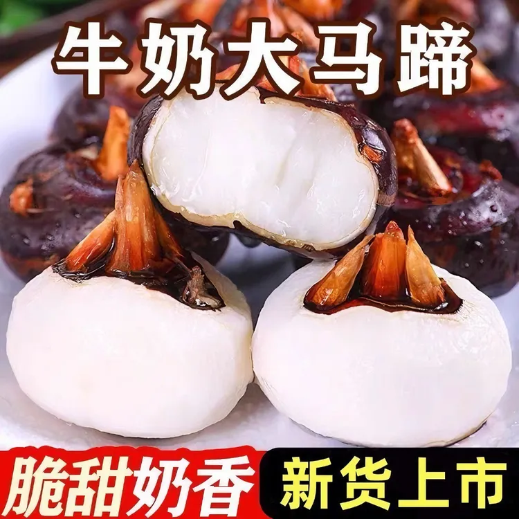广西桂林荔浦水果马蹄新鲜现挖红皮马蹄5斤荸荠清甜脆爽多汁水果