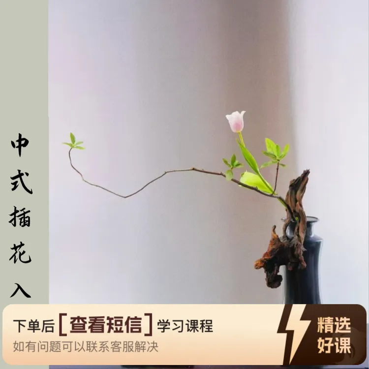 中式插花入门(点击详情页送插花资料）（留意短信解锁课程）