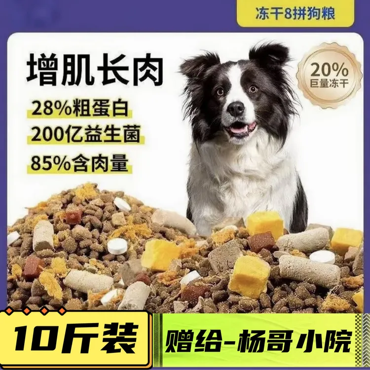 赠狗宝吃的营养通用狗粮