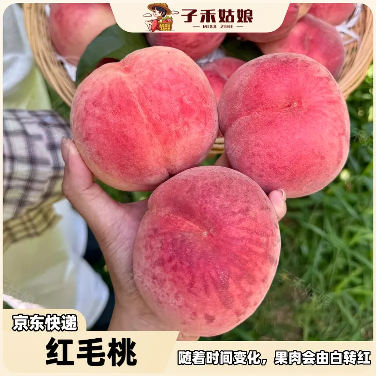 沂蒙山红毛桃蒙阴蜜桃软硬两吃新鲜采摘应季水果脆甜多汁