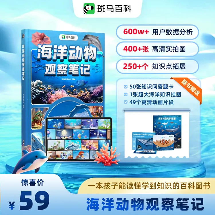 【斑马百科】海洋观察笔记 少儿百科全书 海洋动物知识百科