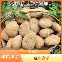 贵州威宁老品种米拉洋芋威宁黄心洋芋土豆农家肥马铃薯