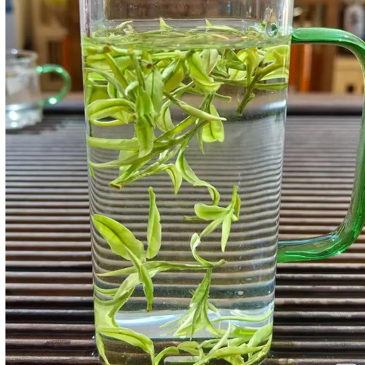 【年中特惠】正宗安吉溪龙原产地发货春季金边明前茶