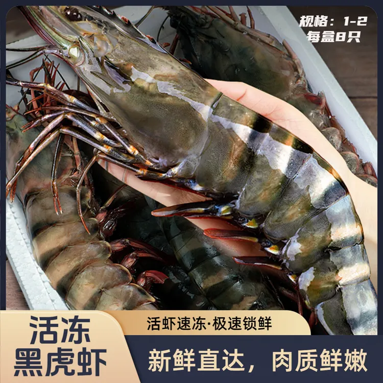 活冻黑虎虾个大饱满肉质紧实爆款推荐黑虎虾品质保证-8头