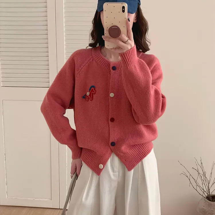 2025秋冬韩系简约休闲百搭撞色刺绣小马圆领长袖针织开衫女