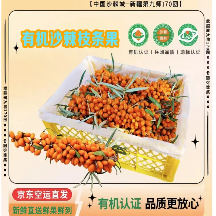 新疆170团有机沙棘大果（三斤/带枝条带叶）