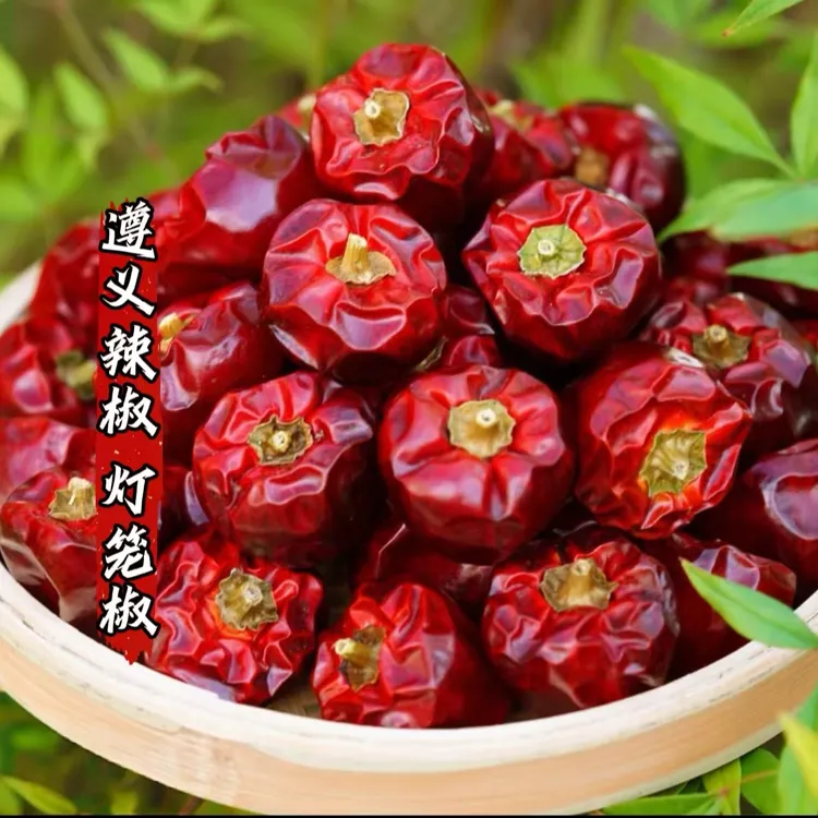 贵州灯笼椒辣椒干干辣椒/微辣特香/香辣炖煮提香优选/只香不辣