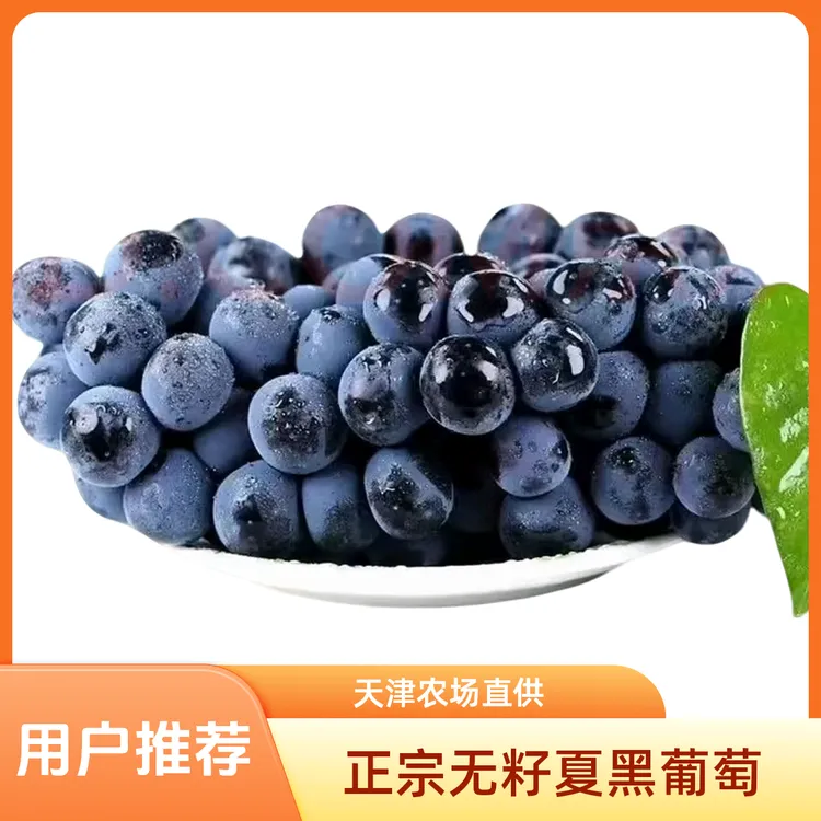 （自然成熟现摘现发）无籽夏黑葡萄-脆甜新鲜葡萄-小时候的味道顺丰