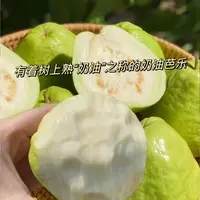 【达吾水果】树熟奶油芭乐毛重3斤装
