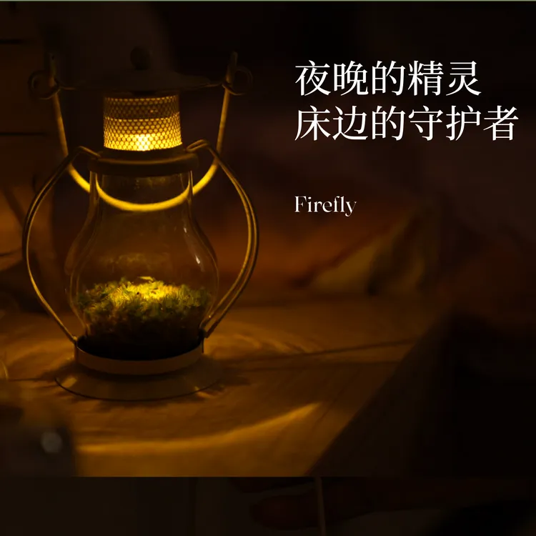 萤火虫饲养观察套装昆虫饲养指南生命科学实验户外led星空灯