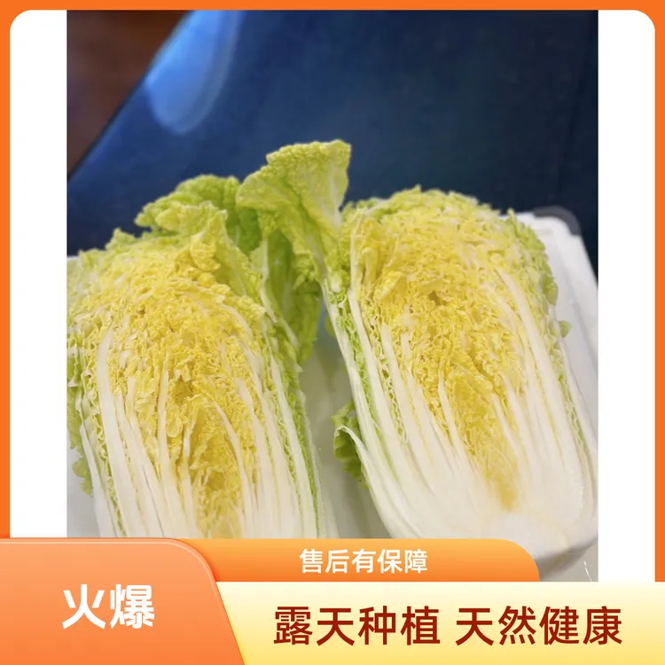 新鲜露天农家黄心娃娃菜蔬菜带箱