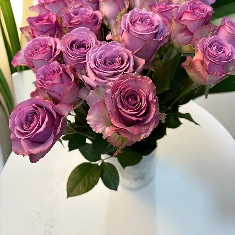 【紫霞仙子】紫色玫瑰花束云南基地直发易开炸花期长家用装饰花卉