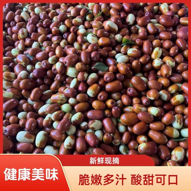 朝阳大枣 平顶枣（平头枣)-鲜枣  新鲜 现摘现发 酸甜口