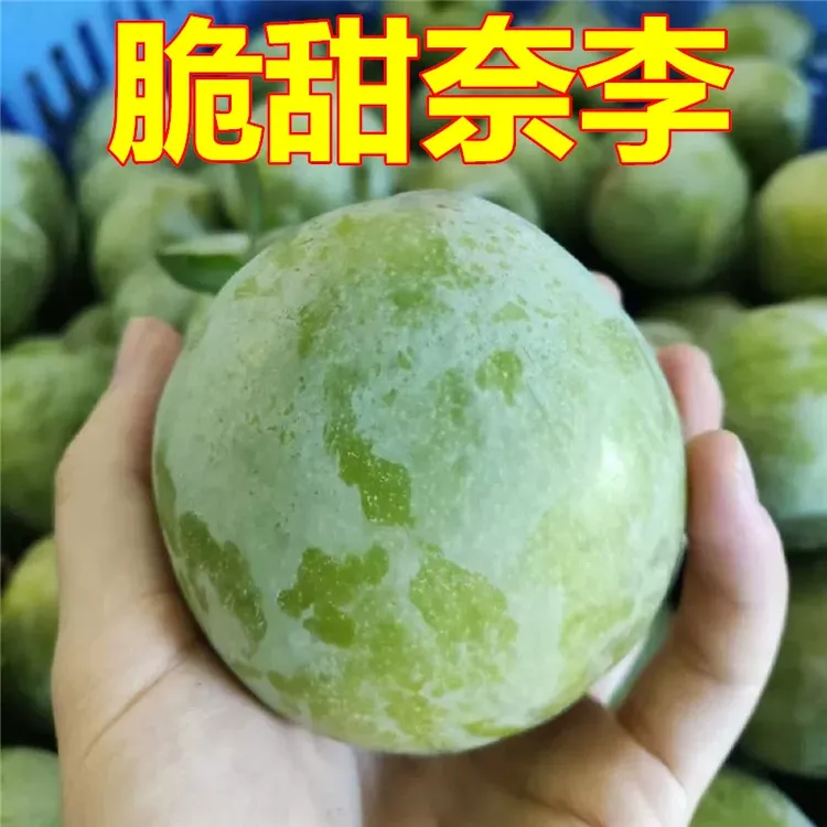 古田翠屏湖畔树上自然熟新鲜当季油奈酸甜可口脱骨爽口孕妇水果