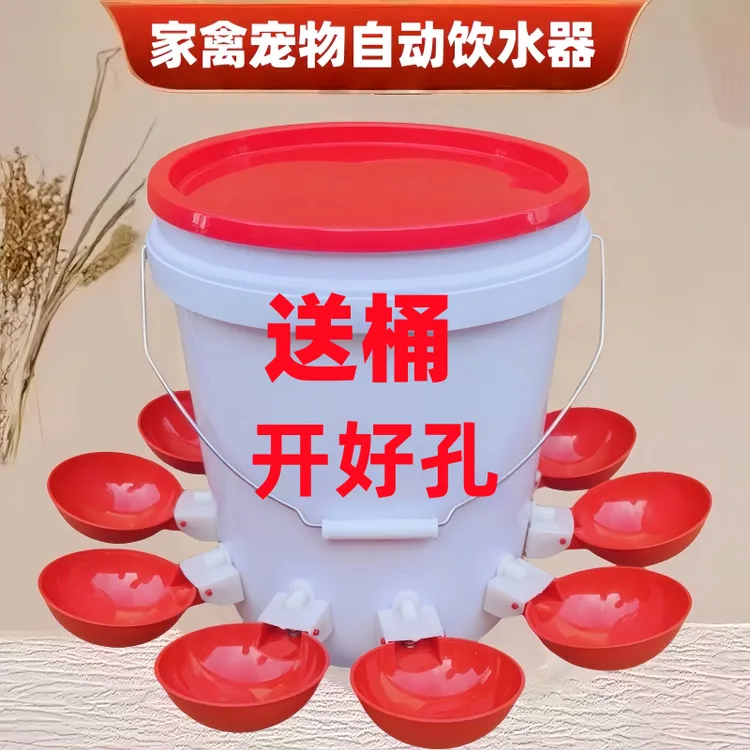 成年鸡鸭鹅自动饮水器鸡饮水碗鸭鹅鸡自动饮水桶鸡鸽子自动饮水碗