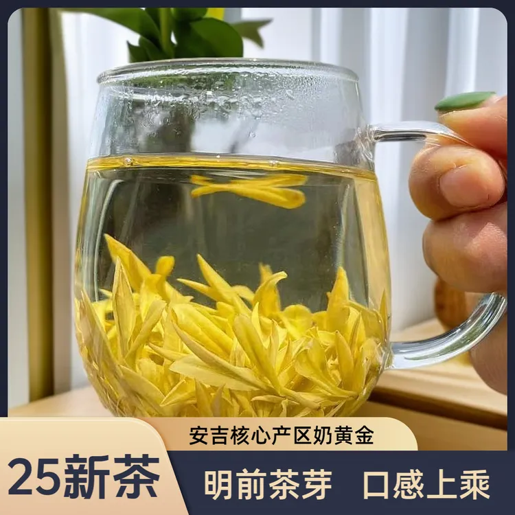 【福利款】2025年小芽头明前高山黄金芽茶中优品茶叶送礼佳品