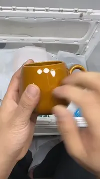 【闪购商品】425回流瓷器默认微瑕，18.8包邮