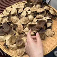 君君优选 正宗新会核心产区自然生晒雪花金丝冬后大红皮 9月24